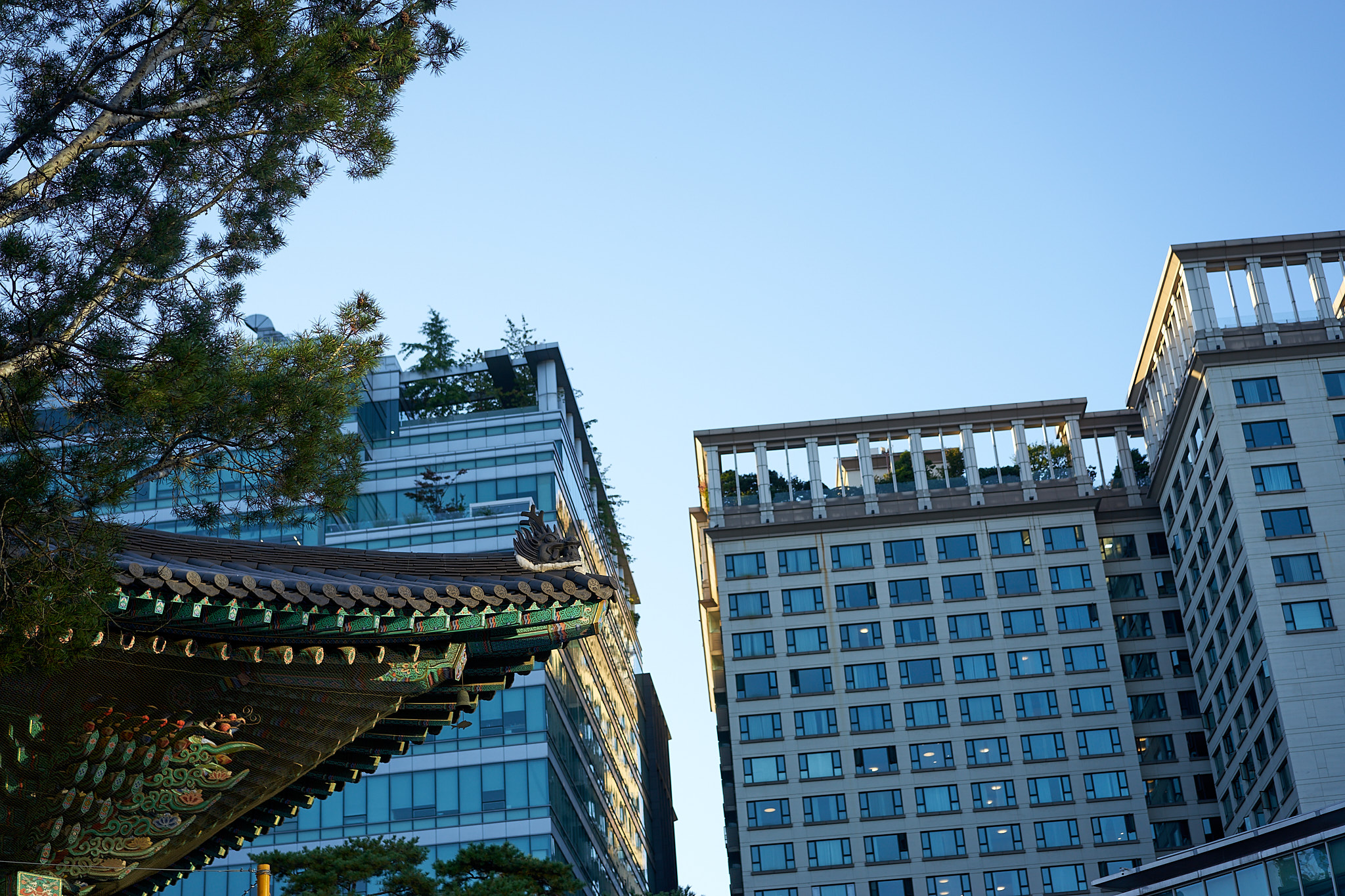 Šventykla, Miestas ir medžiai ant stogo